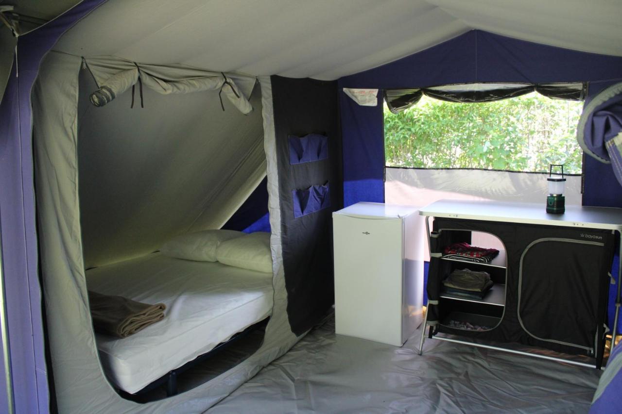 Lavande Campingplatz Belmont-sur-Rance