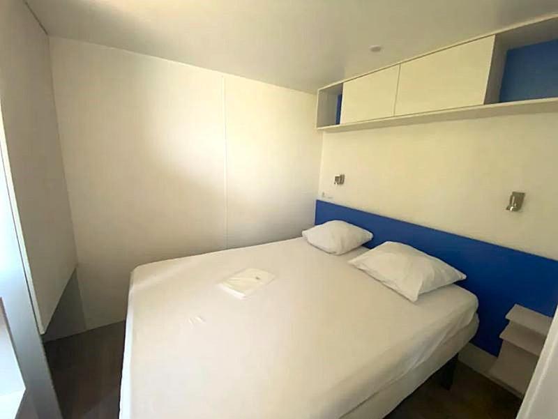 Lavande Belmont-sur-Rance